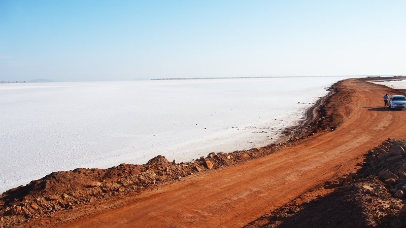 Gujarat Heritage & Wildlife Discovery
