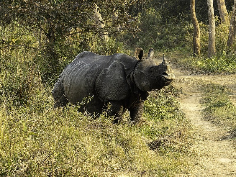 North East India