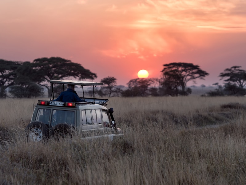 Kenya Safari Adventure